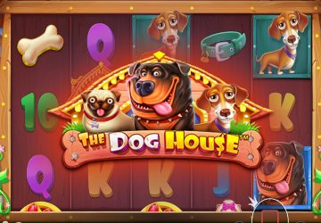 NOVOMATIC - игровой автомат онлайн от Various с RTP 96.83%